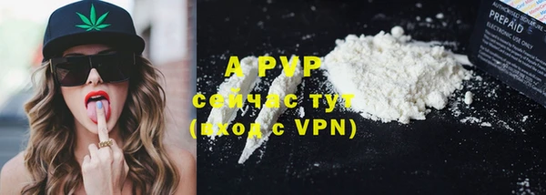 apvp Алзамай
