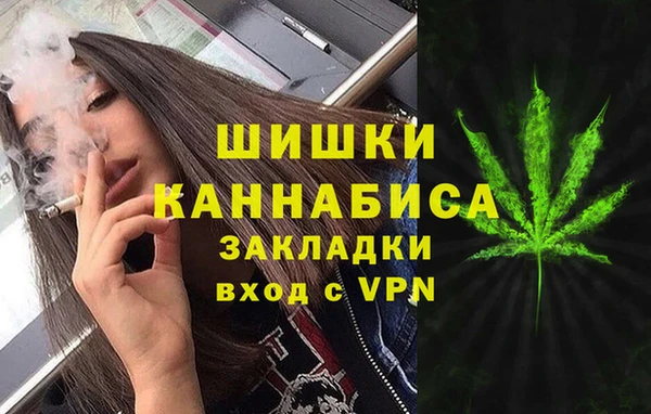 apvp Алзамай