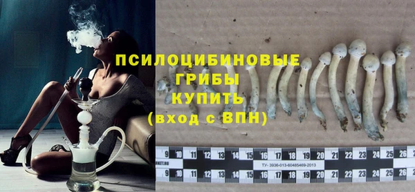 винт Алексеевка