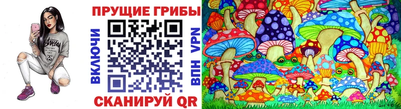 как найти закладки  нарко площадка состав  Псилоцибиновые грибы MAGIC MUSHROOMS  Курган 