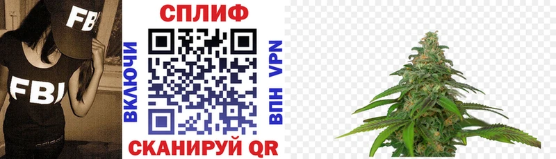 где найти   Курган  Бошки Шишки VHQ 